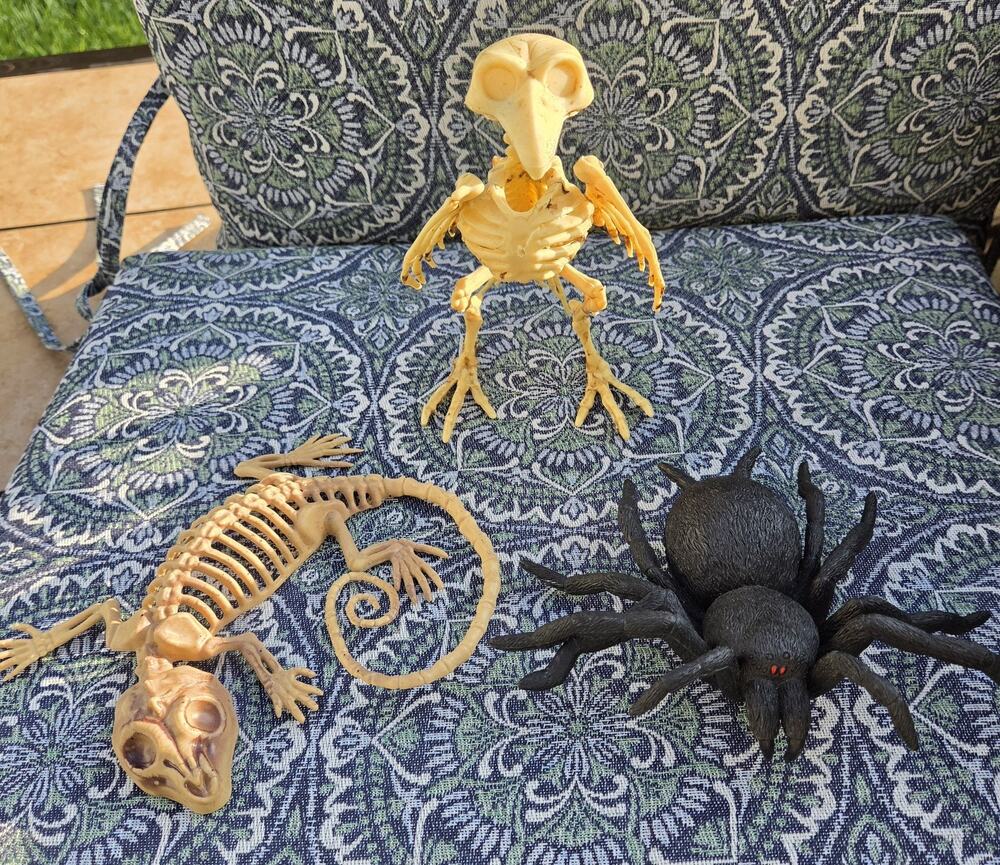Halloween Prop Lot Spooky Animal Skeletons Bird Lizard Gecko & Spider